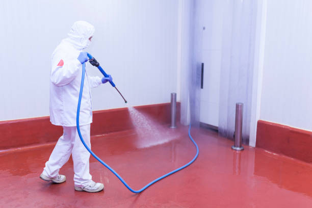 Best Graffiti Removal  in Valley Falls, KS